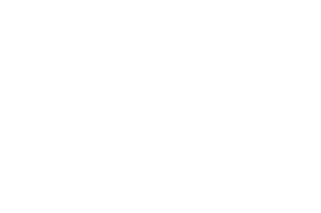 Silly Goose 120ml Pre-Tax