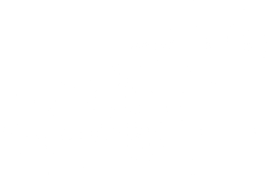Silly goose 30ml Pre-tax